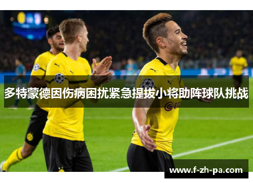 多特蒙德因伤病困扰紧急提拔小将助阵球队挑战 多特蒙德因伤病困扰紧急提拔小将助阵球队挑战