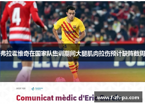 弗拉霍维奇在国家队集训期间大腿肌肉拉伤预计缺阵数周