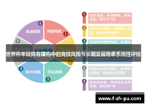 世界杯年轻阵容建构中的竞技风险与长期发展隐患系统性评估