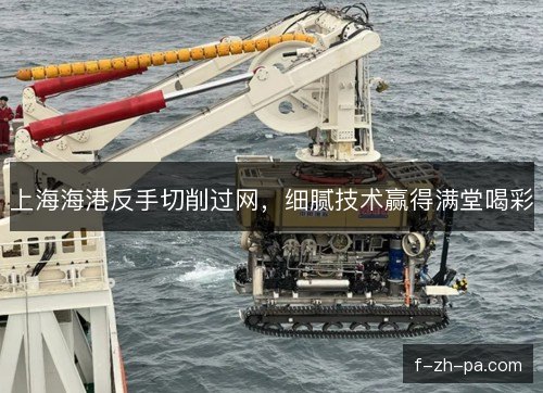 上海海港反手切削过网，细腻技术赢得满堂喝彩